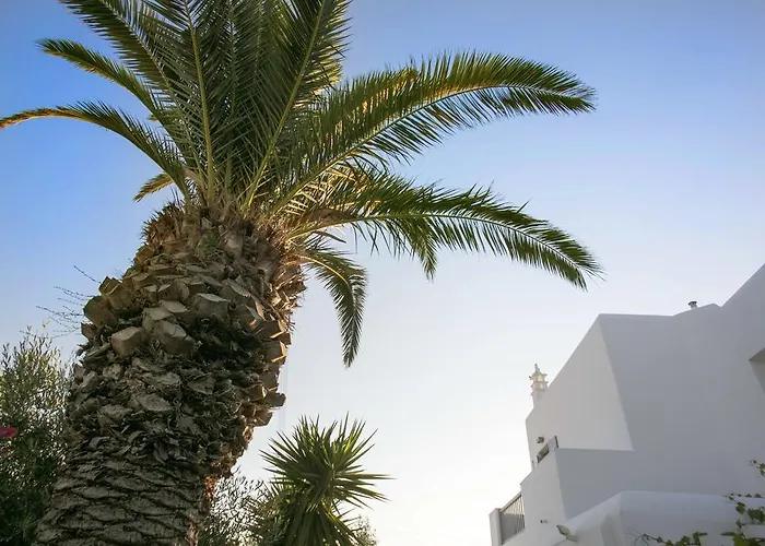 安娜玛丽亚米科诺斯公寓 3* 格拉斯托斯