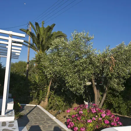 Hotel Anna-maria Mykonos 3*